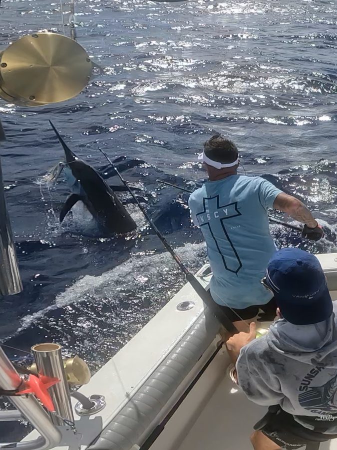 Marlin - Game Fishing with HBGFC