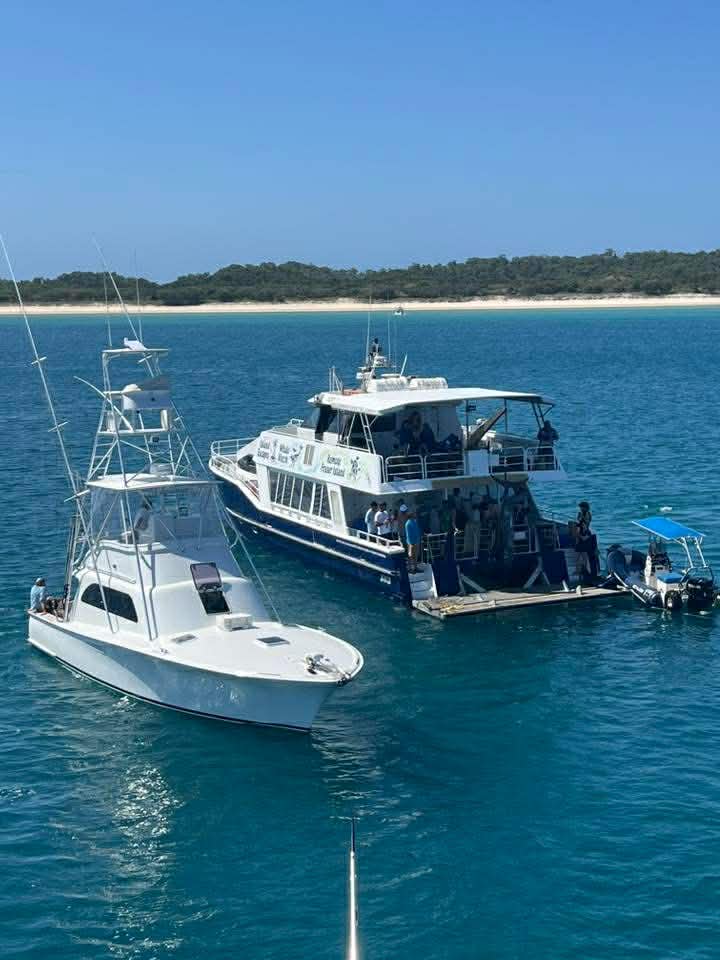 Mothership and game fishing participant